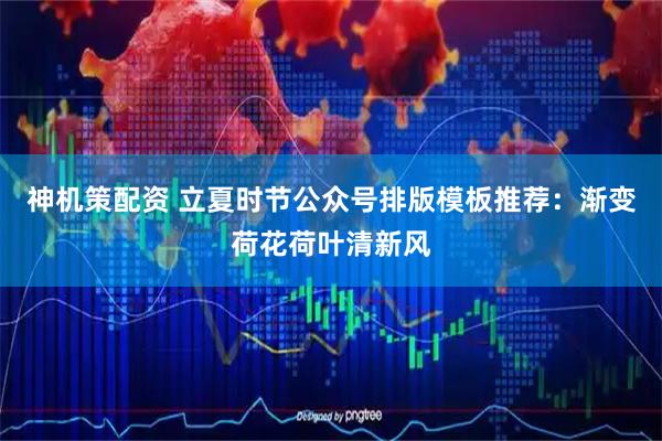神机策配资 立夏时节公众号排版模板推荐:渐变荷花荷叶清新风